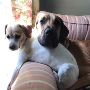 Meet your Posher, Irene